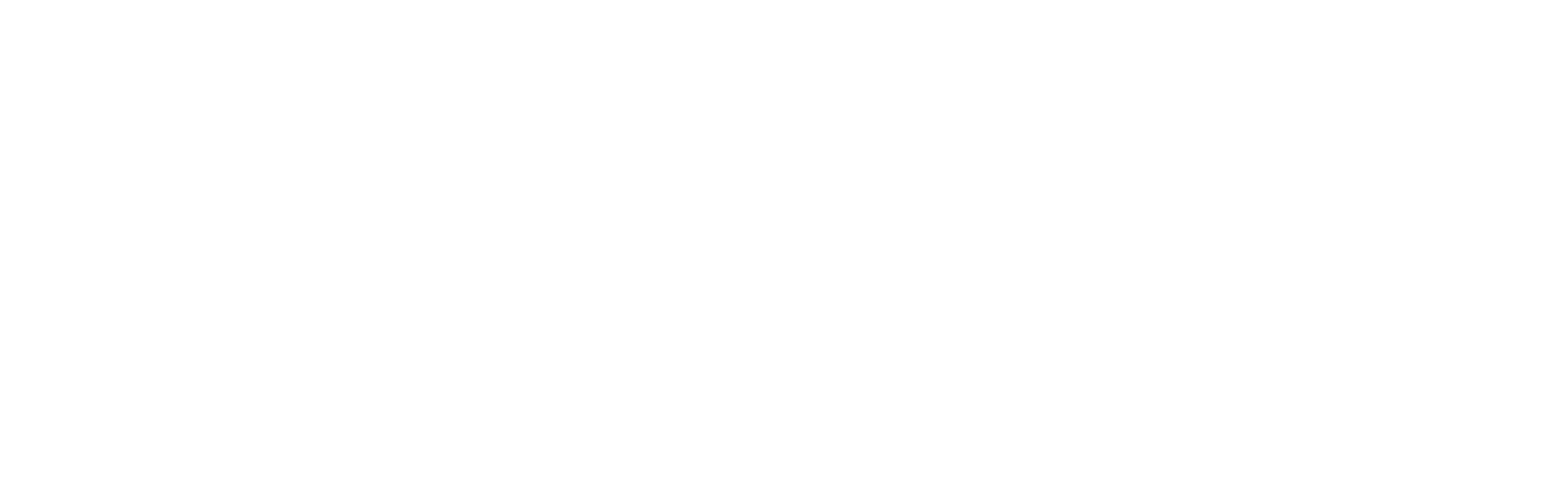 DeetsLogoWhite