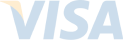 Visa_Inc._logo